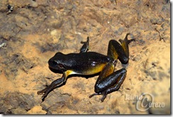 281555_10150259382148618_724603617_7356778_7482690_n