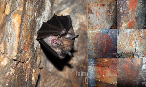 Ver La Cueva de los Doblones, naturaleza e historia en la Sierra de Altamira
